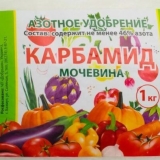 Urea (karbamid) za ribizle: u proljeće, ljeto, kako pravilno hraniti